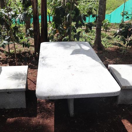 Pine Villa Garden Yercaud Exterior photo
